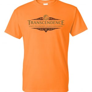 Transcendence T-Shirt Orange